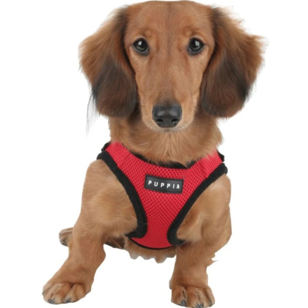 Puppia Vest Polyester Step In Back Clip Dog Harness, Red/Black, L
